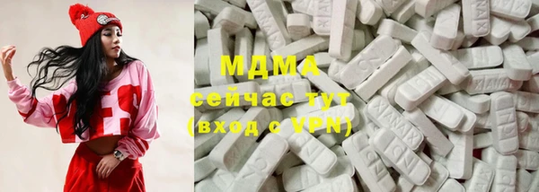 тгк Дмитриев