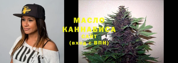 тгк Дмитриев