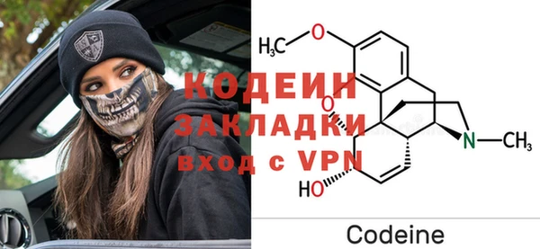 тгк Дмитриев