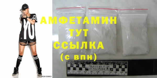 тгк Дмитриев