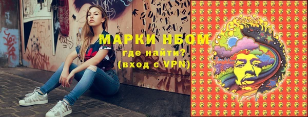тгк Дмитриев