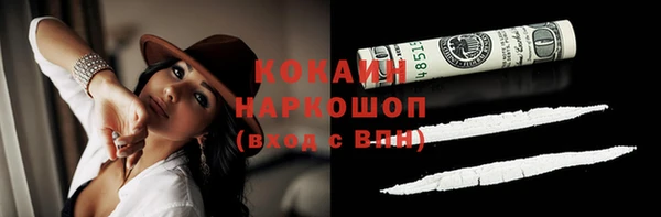 тгк Дмитриев