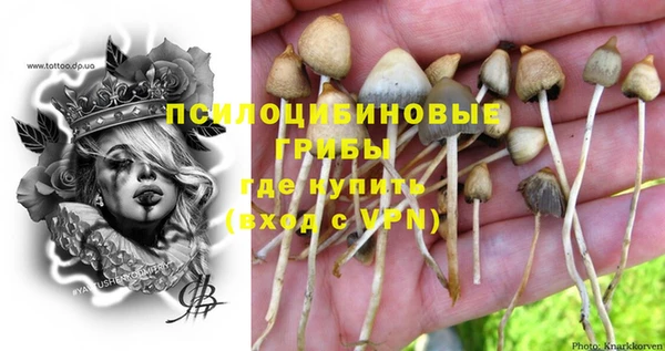 ГАЛЛЮЦИНОГЕННЫЕ ГРИБЫ Протвино