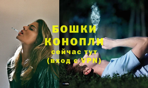 ГАЛЛЮЦИНОГЕННЫЕ ГРИБЫ Протвино