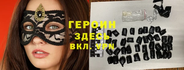тгк Дмитриев