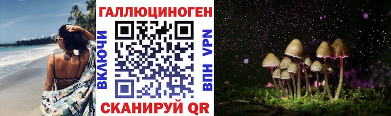 купить наркотик  Рузаевка  МЕГА вход  Галлюциногенные грибы Psilocybe 