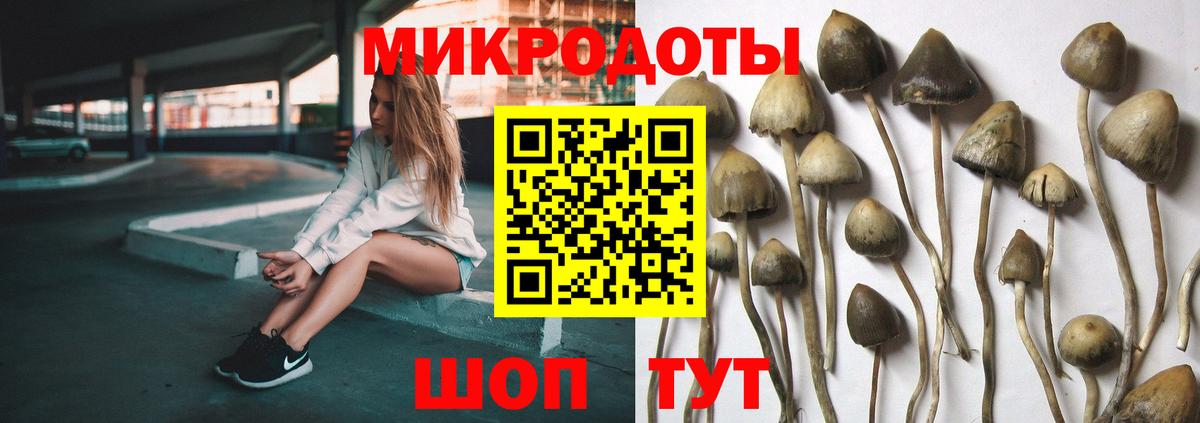 Псилоцибиновые грибы Psilocybe  Вход с VPN  Галлюциногенные грибы MAGIC MUSHROOMS  Рузаевка 